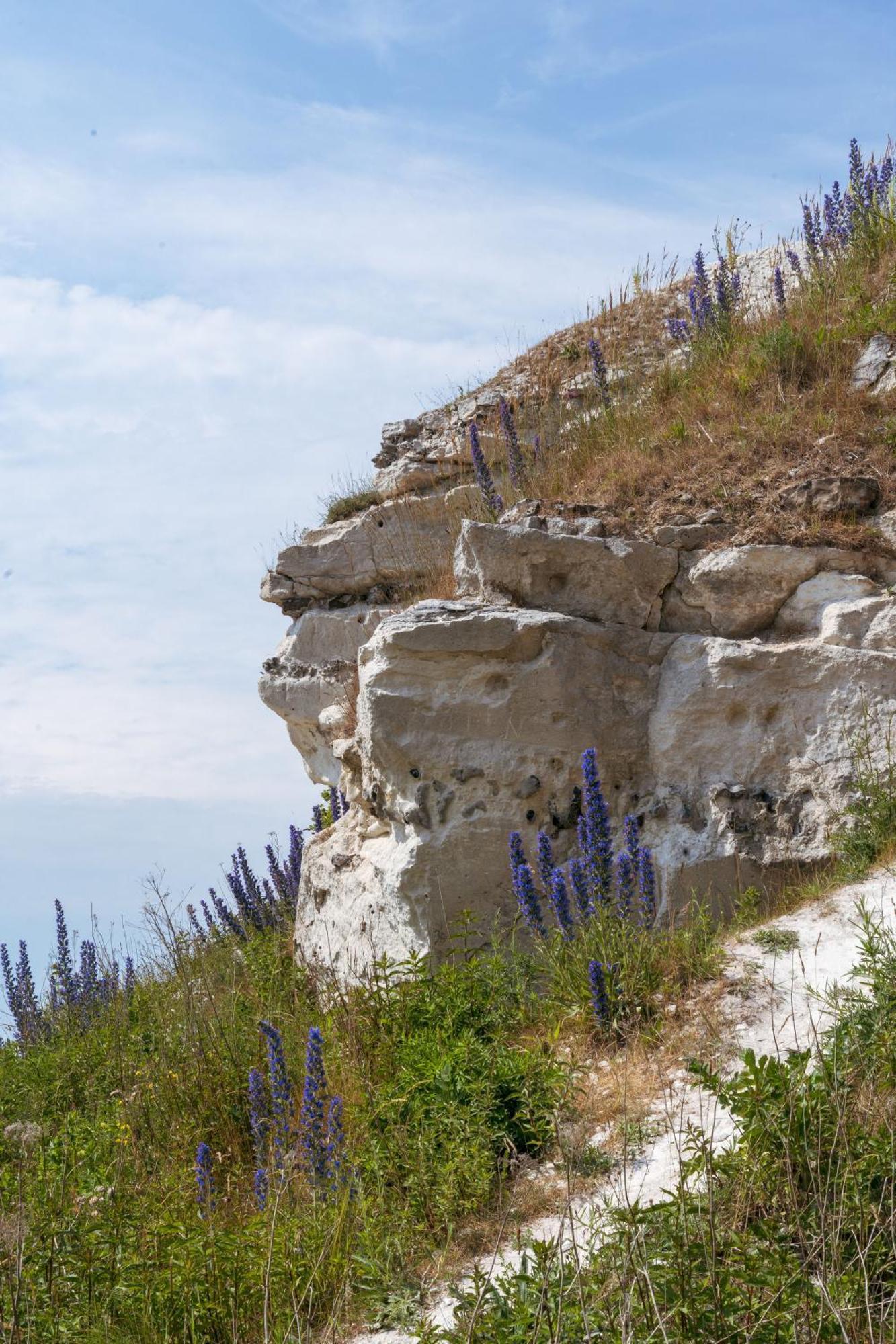Kridthuset Stevns Klint Otel Rødvig Dış mekan fotoğraf